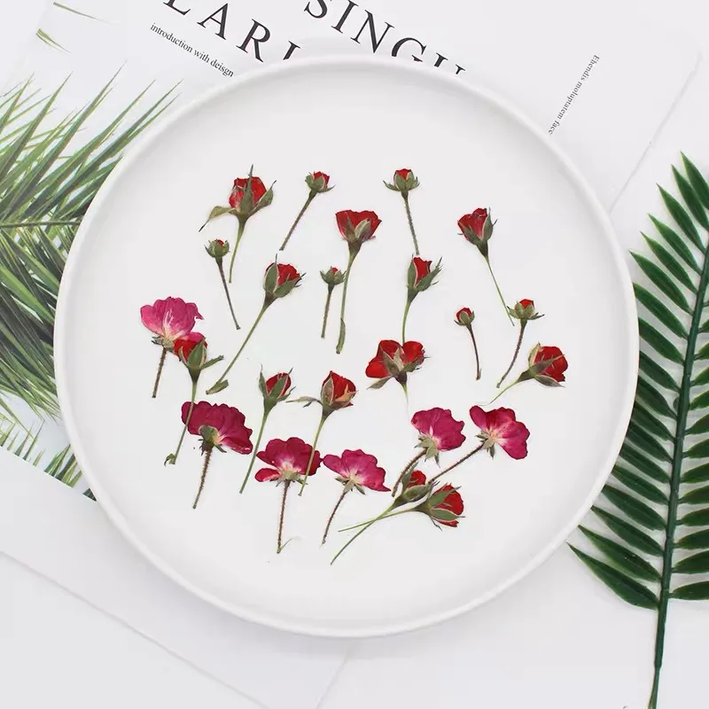 Dried Flower Bookmark - 60 buah kering sisi ditekan merah/ungu/merah