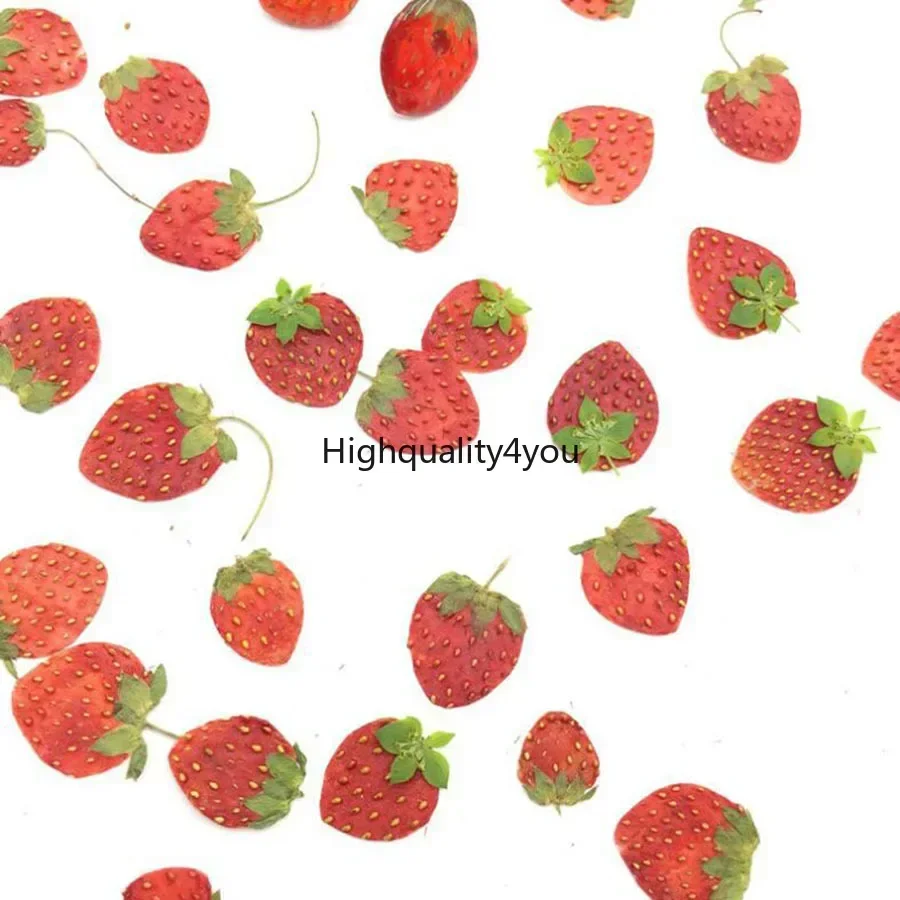 10 buah buah kering kering bua - Dried Flower Bookmark ulasan dan harga